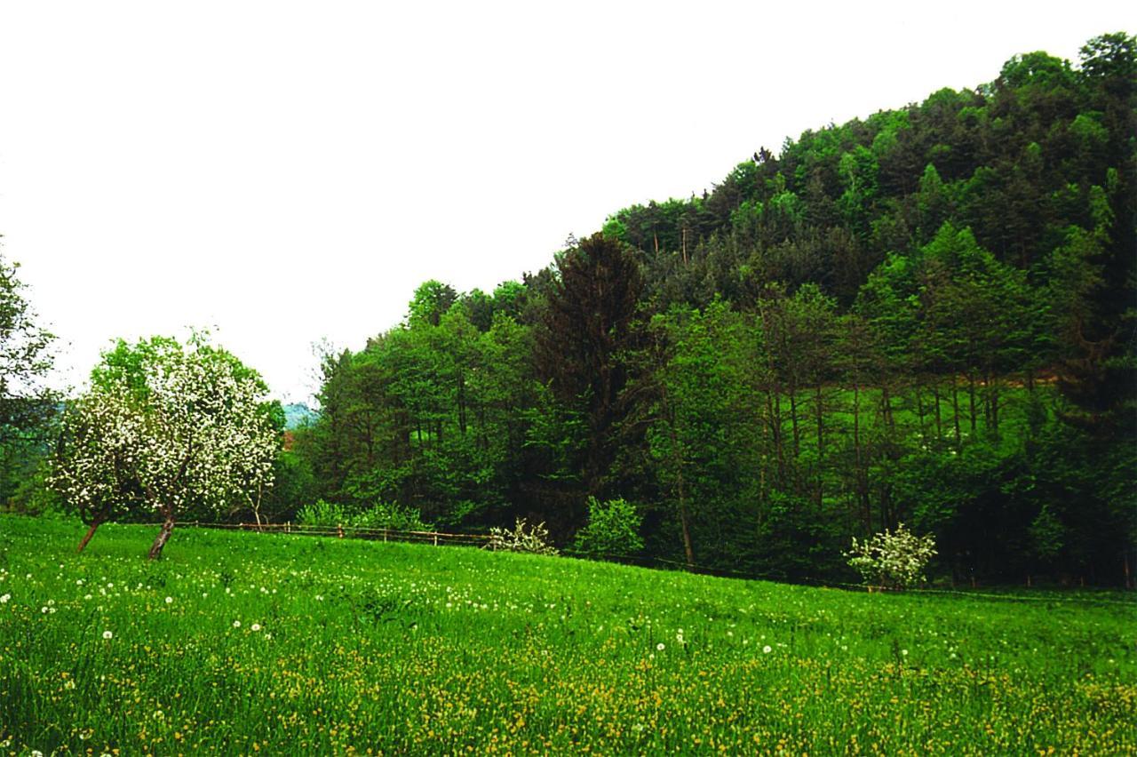 Bed and Breakfast Landhaus Waldfrieden Lassnitzhoehe Exterior foto