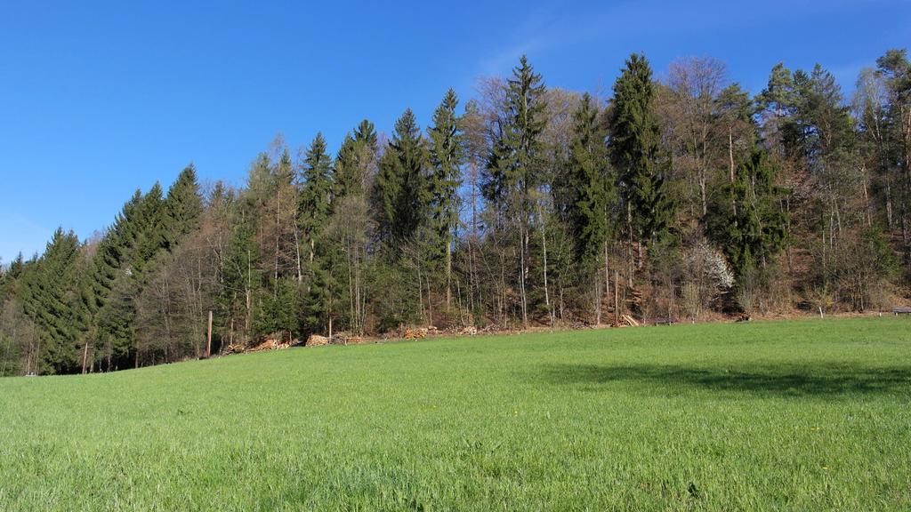 Bed and Breakfast Landhaus Waldfrieden Lassnitzhoehe Exterior foto